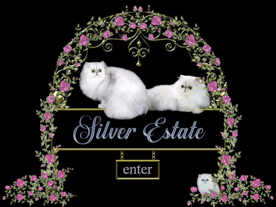 Silver Persian cats on the Silver Estate sign
