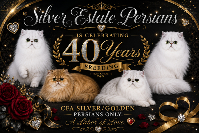 Silver Persian cats on the Silver Estate sign